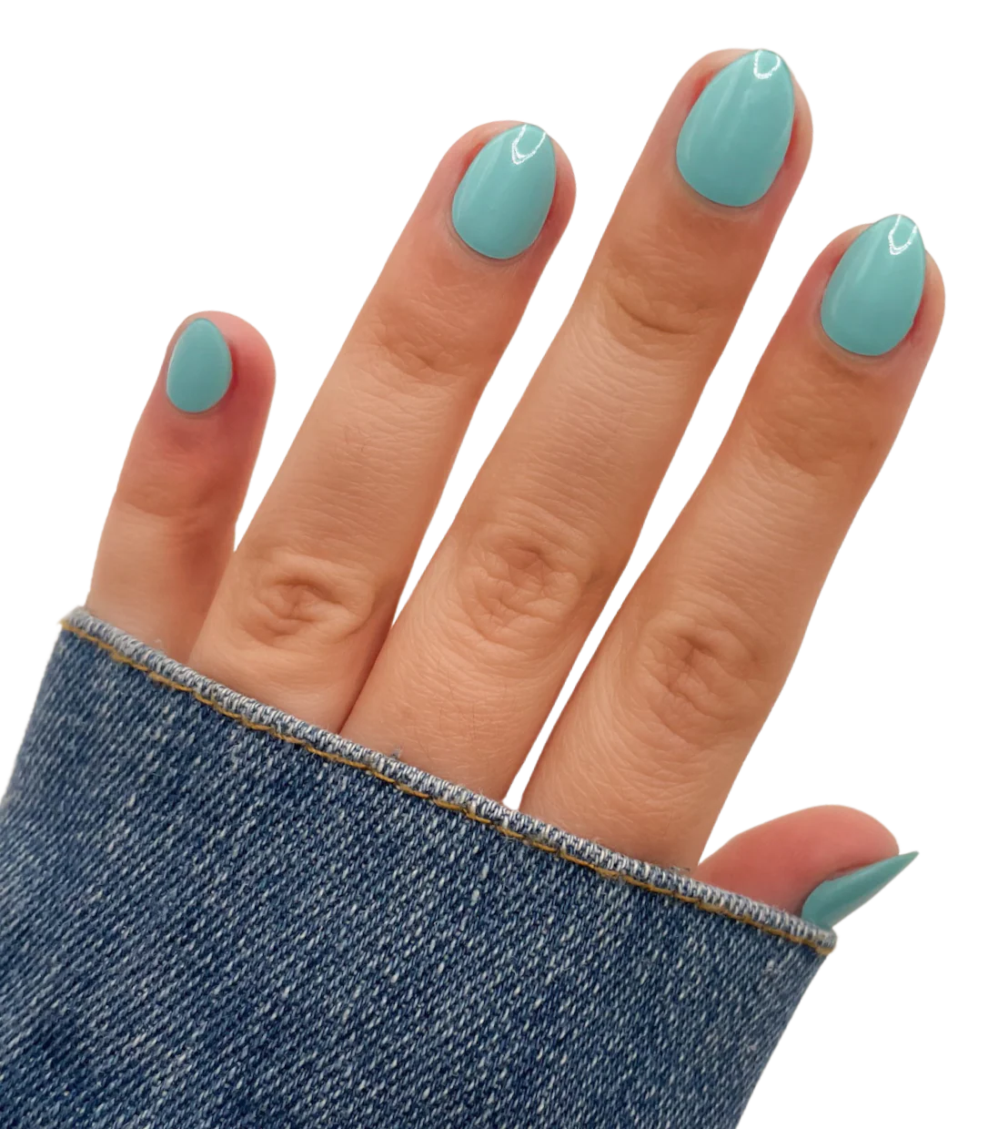 Turquoise and Caicos (Starter Kit) - Image 2